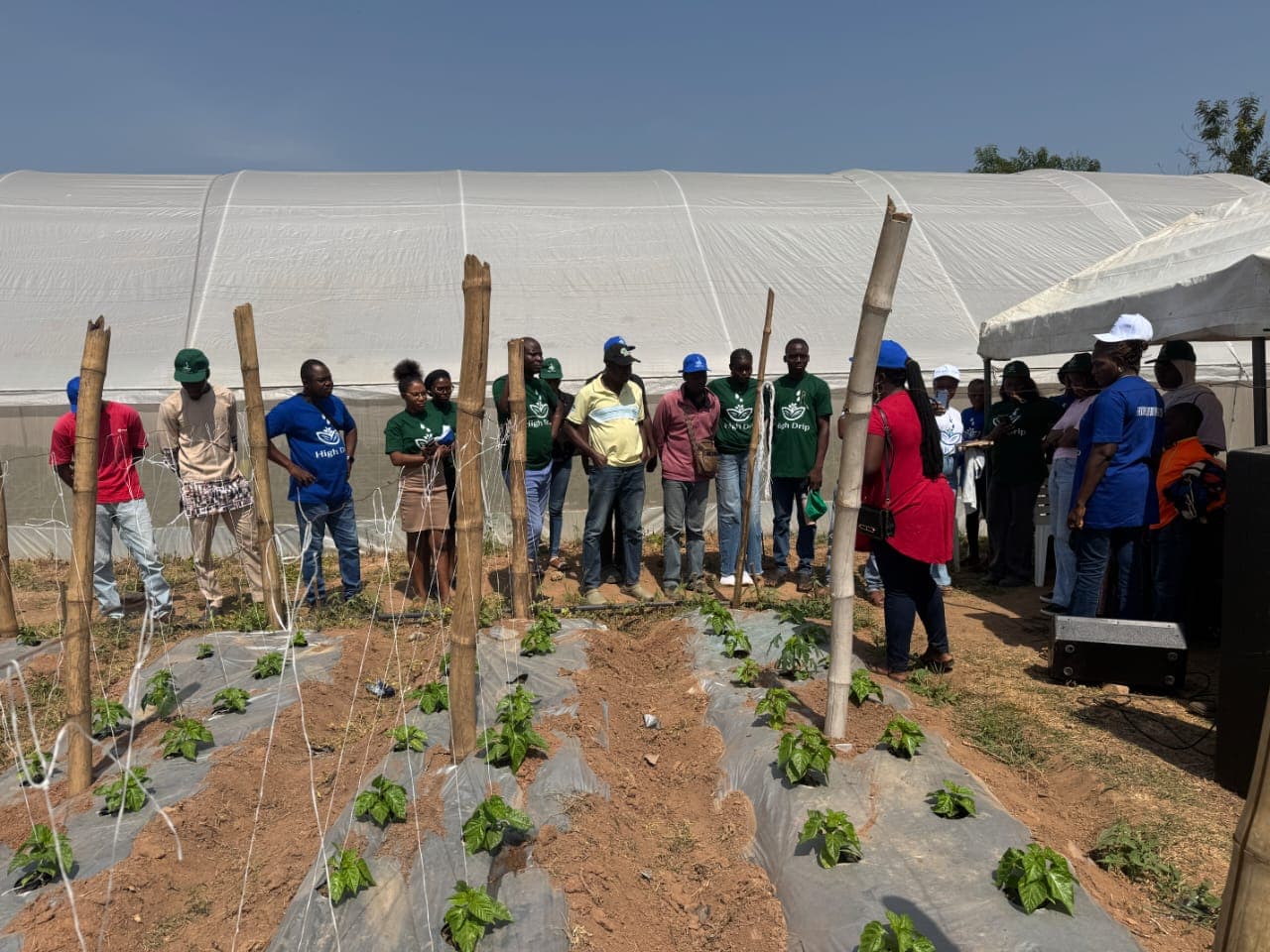 A farmer training session taking place beside cultivated rows and protected structures.
